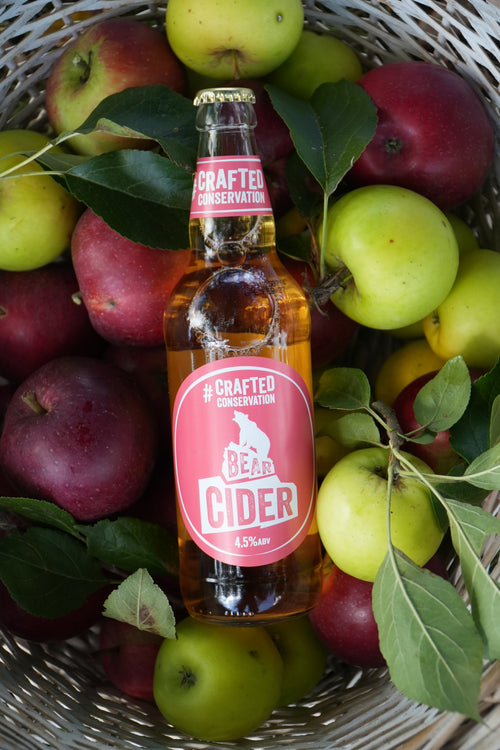 Bear Ciderrr Case x 12 500ml Bottles