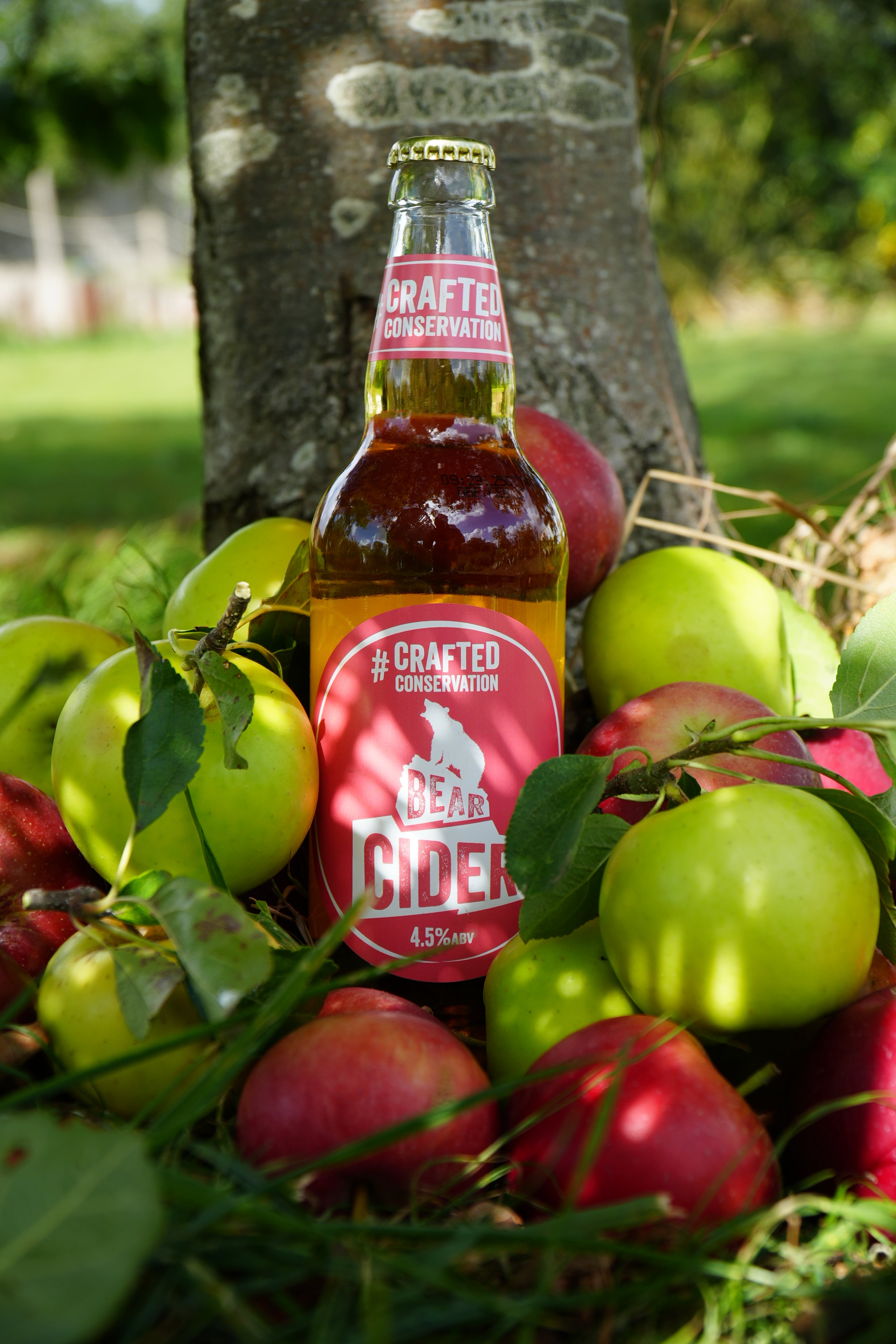 Bear Ciderrr Case x 12 500ml Bottles