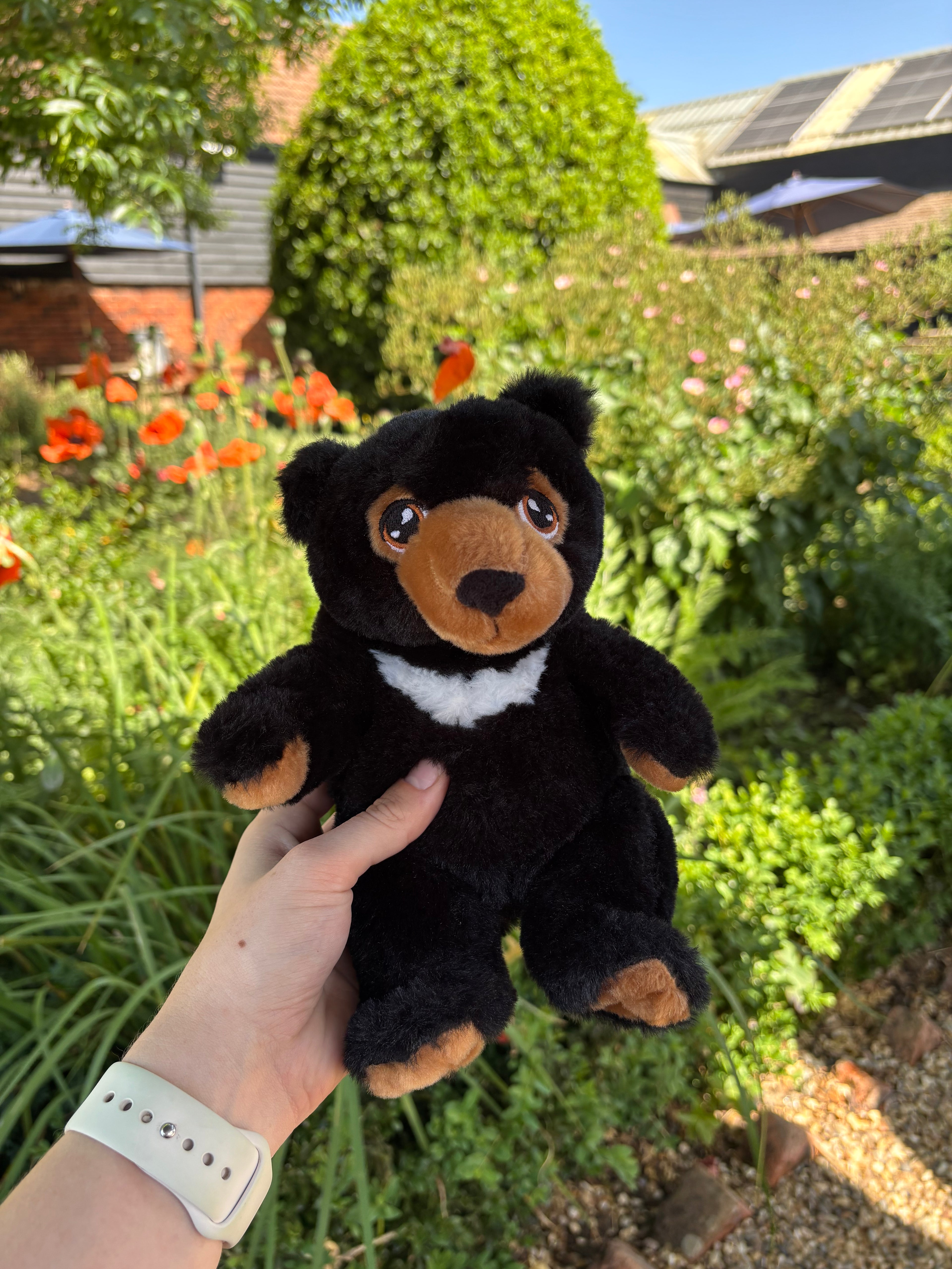 Moon Bear Charity Teddy